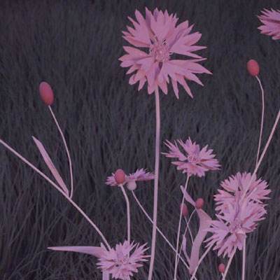 8868体育注册与登录