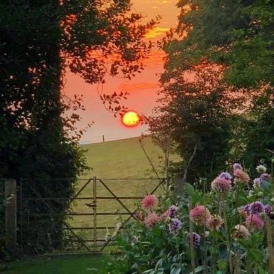 时空中的绘旅人