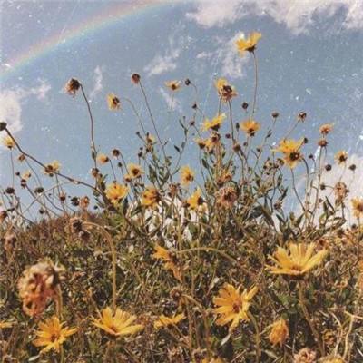 工业AI走向现场,制造业转型正释...