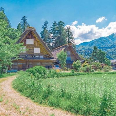 黄金价格剧烈震荡 避险资产“失灵”了吗?