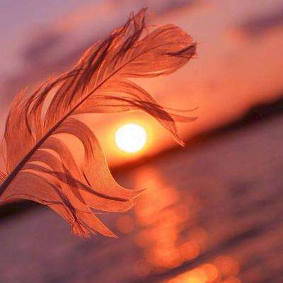 德国据悉研究如何在下一次与特朗普发生冲突时打击美国公司