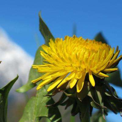 增收不增利 石头科技“不省心”