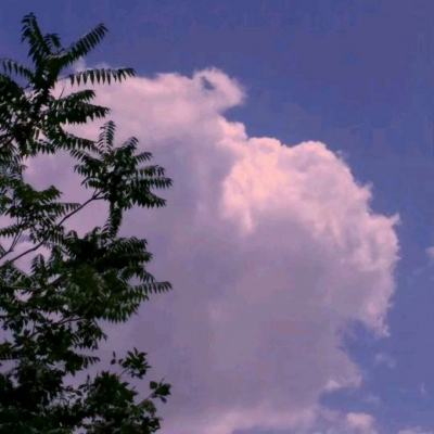 新亚洲体育娱乐下载APP/手机APP下载