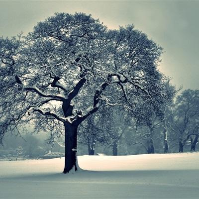 嗨玩电竞官网截图2