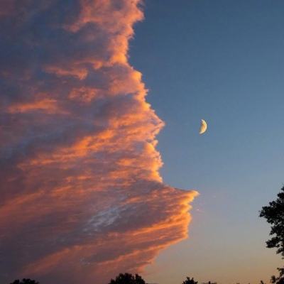 300638，筹划重大资产重组