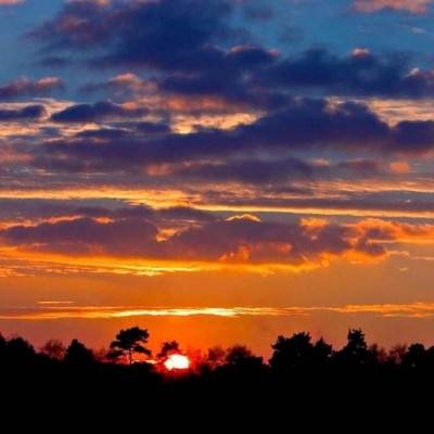 特朗普前顾问爆料:美国若动用战略石油储备,伊朗战争恐长期化