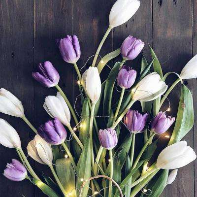 智能经济新形态下,什么是智能体的“硬件底座”