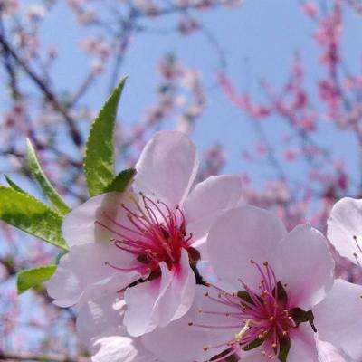 乐鱼体育网址是多少